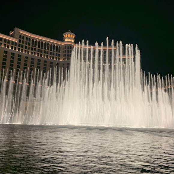 Meet your Posher, George - Picture 1 of 1